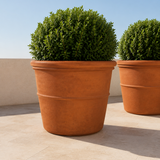 Pair of 60"D x 45"H Terracotta Planters in GFRC on walkway with a wall behind them