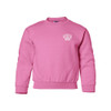 TSSUS Embroidered Butterfly Icon YOUTH Crewneck Sweatshirt - Safety Pink