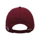 THE FEEL GREAT SYSTEM Embroidered Premium Pigment Dyed Cap - Cinnamon Red