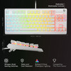 RGB Gaming Keyboard SteelSeries Apex 3 TKL Wired USB White