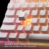 RGB Gaming Keyboard SteelSeries Apex 3 TKL Wired USB White