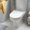 D Shaped Toilet Seat White Soft Close Quick Release Top Fix Adjustable Habitat