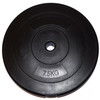Weight Plates 10kg Pair 1 Inch Standard Vinyl 20kg Set Home Gym Weightlifting