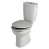 Toilet Seat Grey Glitter Soft Close Quick Release Adjustable Hinges Habitat