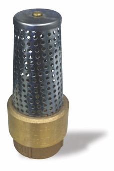 Munro Brass Foot Valve photo