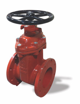 Munro Ductile Iron Flanged Open Gate Valves red photo
