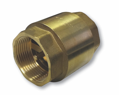 Brass Check Valve Munro photo
