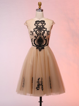Cute Appliques Short Champagne Tulle Homecoming Dress 