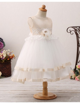 Champagne Toddlers Tulle Lace Short Tutu Flower Girl Dress