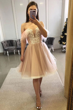   Shop An Amazing  Latest Style Pink Sweetheart Tulle Lace Short  Feather Prom Homecoming Dress 