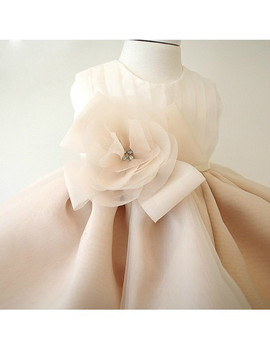 Champagne Princess Toddler Girls Pageant Gown