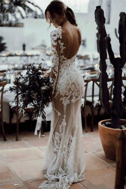 See Through Lace Close-fitting Cheap Long Sleeve Outdoor Beach Wedding Dress At Incredible Price