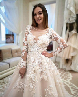 Appliques Long Sleeve A-Line  See Through Champagne Tulle Wedding Dress