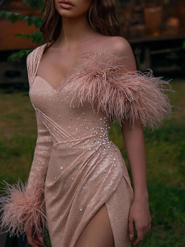 Shop 2022 Champagne One Shoulder Long Sleeve Feather Prom Dress Under 264