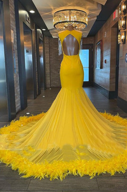 Shop 2023 ANNAKOO V Neck Yellow Beading Feather Trumpet Mermaid Prom Dress Under 328