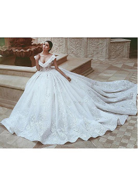 Organza V-neck Long Appliques Ball Gown Wedding Dress