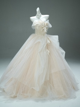 Shop 2025 ANNAKOO Champgne Tulle Ball Gown Flower Prom Dress Under 398