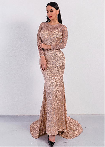 Sequin & Tulle Jewel  Long Sleeves Mermaid Evening Dress