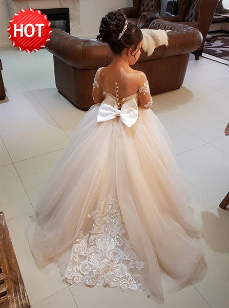 Light Champagne Ball Gown Tulle Flower Girl Dress with Appliques
