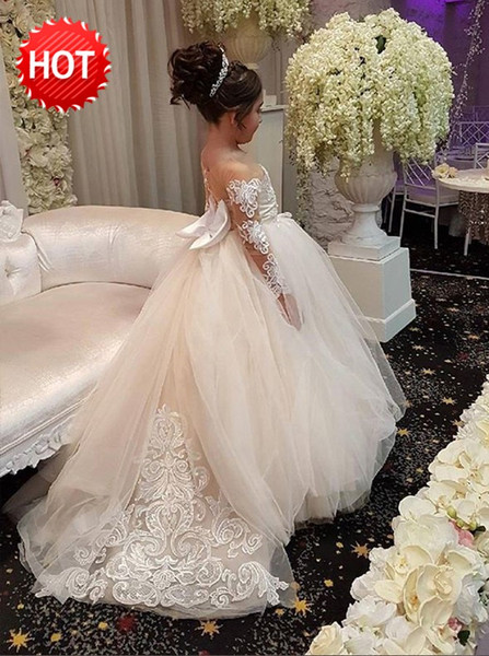 Light Champagne Ball Gown Tulle Flower Girl Dress with Appliques