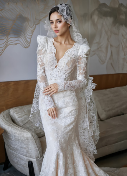 Long Sleeve V Neck Lace Trumpet Mermaid Wedding Dress