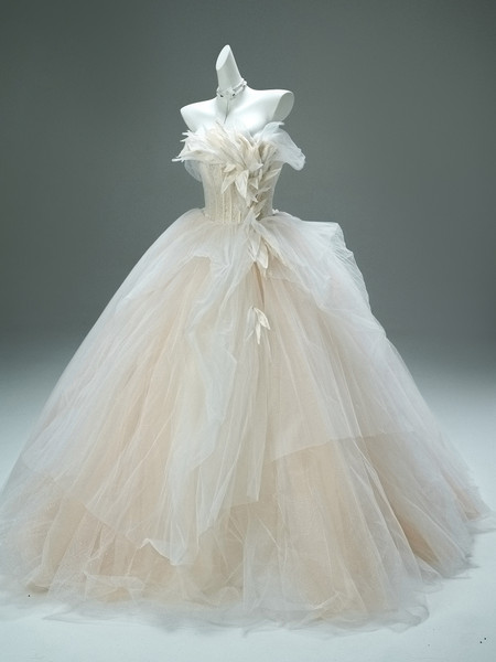 Shop 2025 ANNAKOO Champgne Tulle Ball Gown Flower Prom Dress Under 398