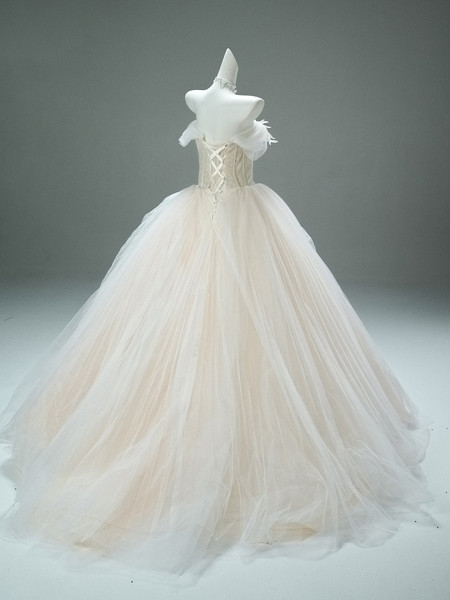 Shop 2025 ANNAKOO Champgne Tulle Ball Gown Flower Prom Dress Under 398