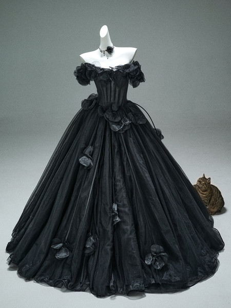 Shop 2025 ANNAKOO Off The Shoulder Tulle Flower Ball Gown Prom Dress Under 398