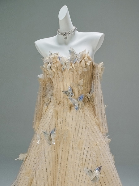 Shop 2025 ANNAKOO Champagne A Line Off The Shoulder Butterfly Long Sleeve Prom Dress Under 529