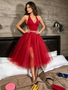 Shop 2026 ANNAKOO Red Halter Cut Out Tulle Two Piece Homecoming Dress Under 119