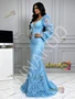 Baby Blue Trumpet Mermaid Backless Lace Long Sleeve Prom Dress