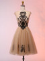 Cute Appliques Short Champagne Tulle Homecoming Dress 
