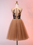 Cheap Vintage Short Champagne Tulle Appliques Homecoming Dress