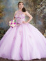 Appliques Ball Gown Jewel Pink Tulle Quinceanera Dress