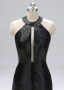 Black Sequin Halter Sheath/Column Evening Dresses