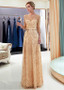 Champagne Tulle Bateau Long A-line Evening  Prom Dress