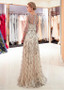 Champagne Tulle Bateau Long A-line Evening  Prom Dress