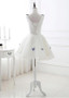 Shop Cheap White Tulle V-neck Embroidery Butterfly Short Length A-line Homecoming dress Under 100