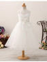  Applique Lace Princess Tulle Short Flower Girl Dress