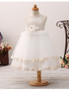 Champagne Toddlers Tulle Lace Short Tutu Flower Girl Dress