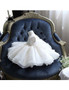 White Tutu Lace Big Bow  Flower Girl Dress