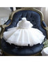 White Tutu Lace Big Bow  Flower Girl Dress