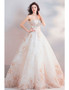 Dreamy Floral Strapless Embroidery Beige Ball Gown Wedding Dress 
