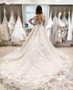 Shop 2021 Appliques Long Sleeve A-Line See Through Champagne Tulle Wedding Dress Under 219