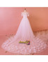  Petals Long Train  Illusion Neck  3D Flowers Long Sleeve Plus Size Wedding Dress