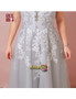 Grey Tulle Lace Sheer Neck Short Sleeves Plus Size Prom Dress