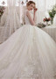 Tulle & Lace V-neck Long Train Ball Gown Wedding Dress 