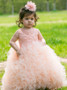 Cute Tulle Ball Gown Pink Flower Girl Dress with Appliques
