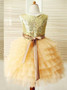 Ball Gown Gold Scoop Tulle Ruffles Flower Girl Dress
