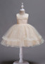 Champagne In Stock Tulle & Lace Jewel Neckline Ball Gown Flower Girl Dress